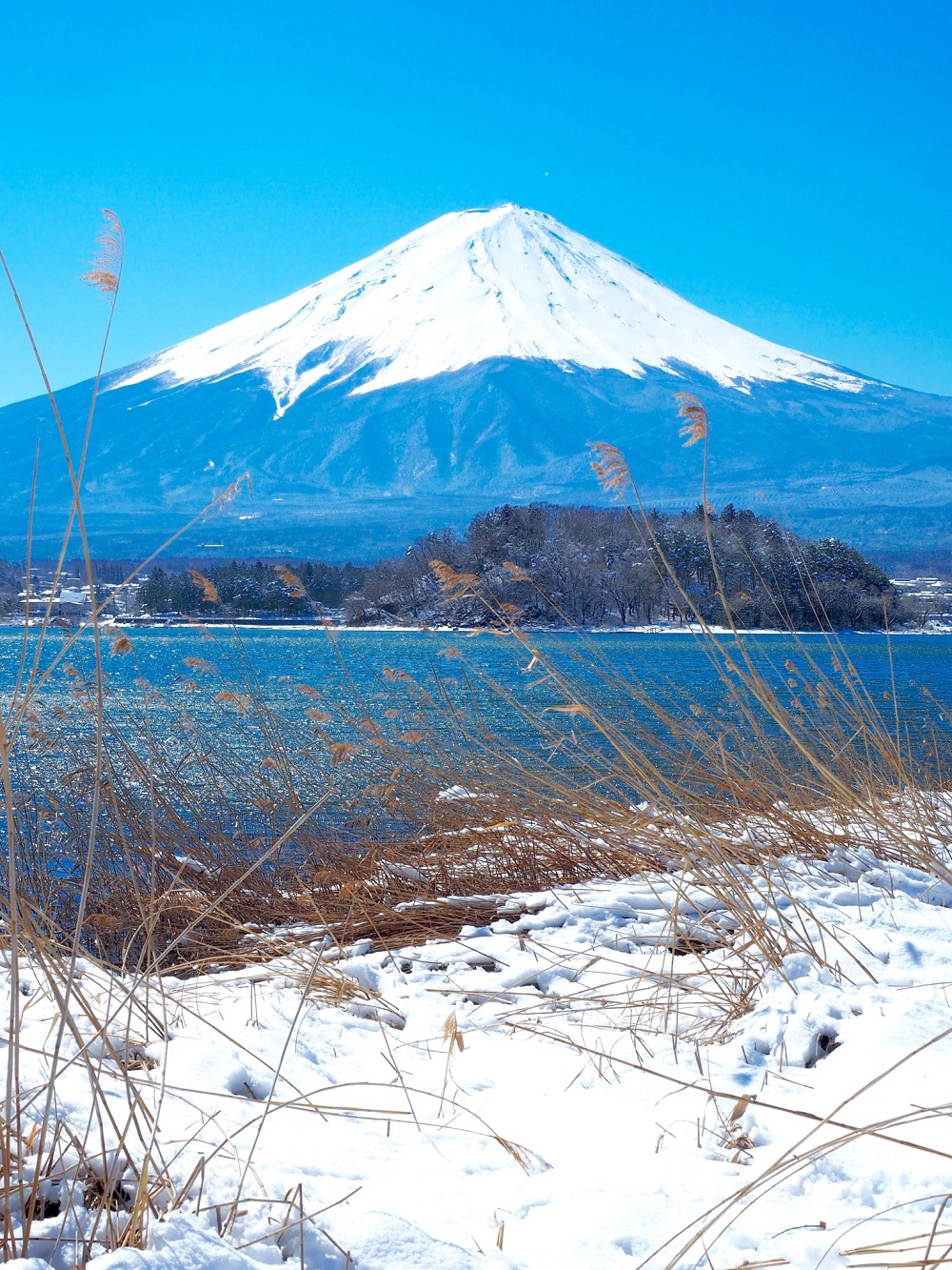 Tokyo Day Trip: Mt Fuji & Hakone