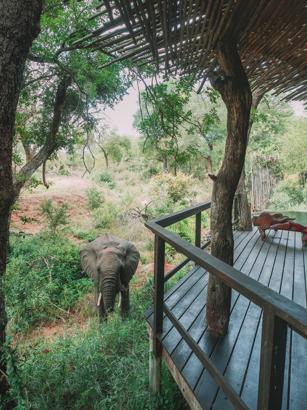 The 10 Best Safari Lodges in South Africa