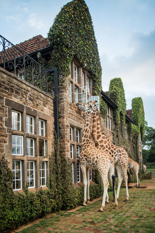 What to expect when you stay at Giraffe Manor, Kenya