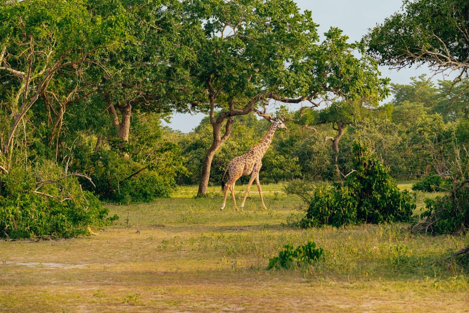 February Africa Short Stays: One Museum, Market, Viewpoint