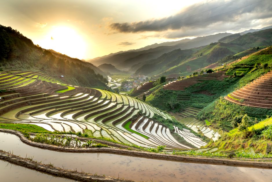 Beautiful rice terraces in a mountainous landscape captured at sunrise, showcasing natural