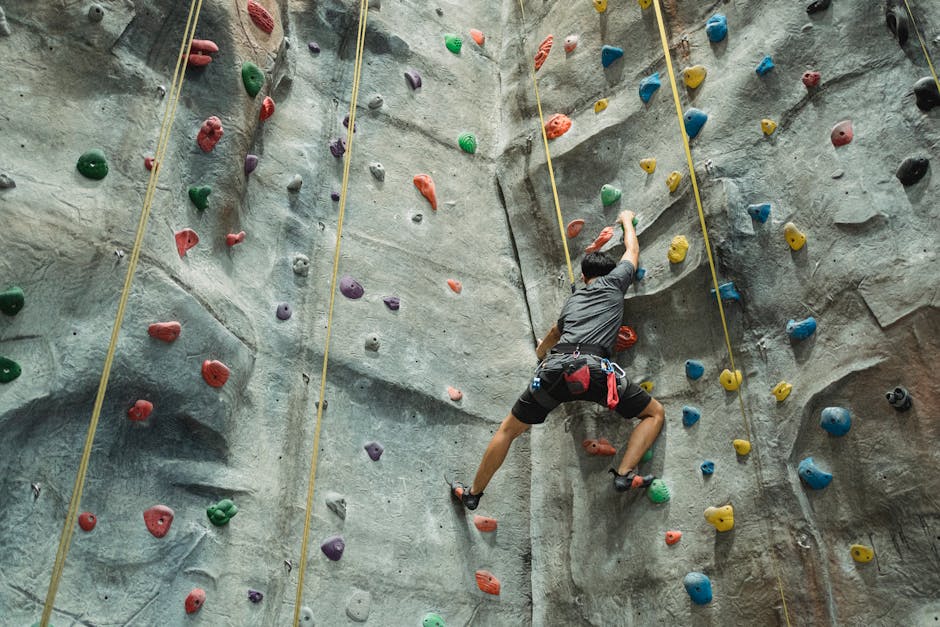 Back view of anonymous male alpinist with belay training on climbing wall in bouldering gym