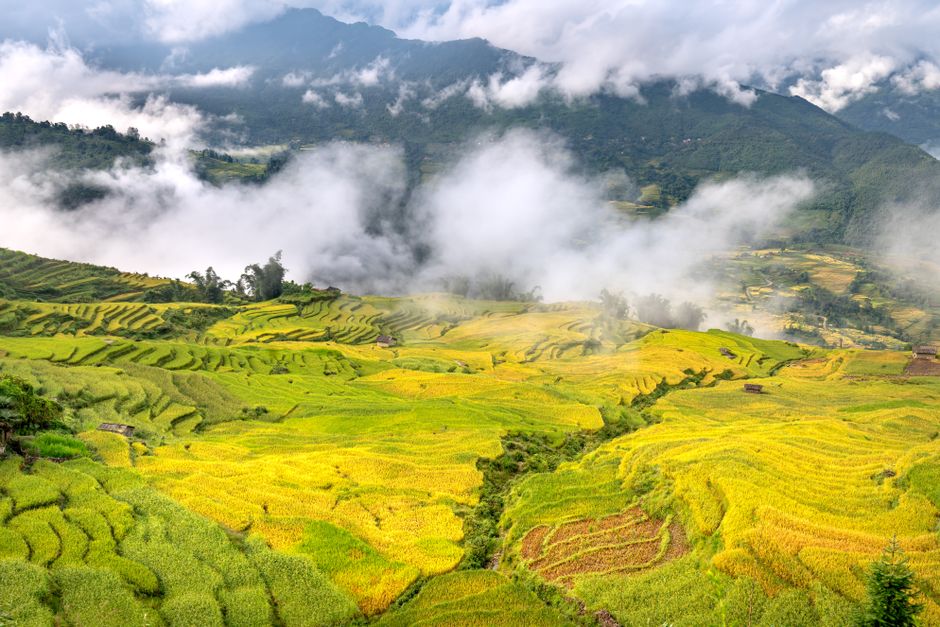 Asia August Travel: Asia August City Days: Monsoon-Smart Plans for 2026