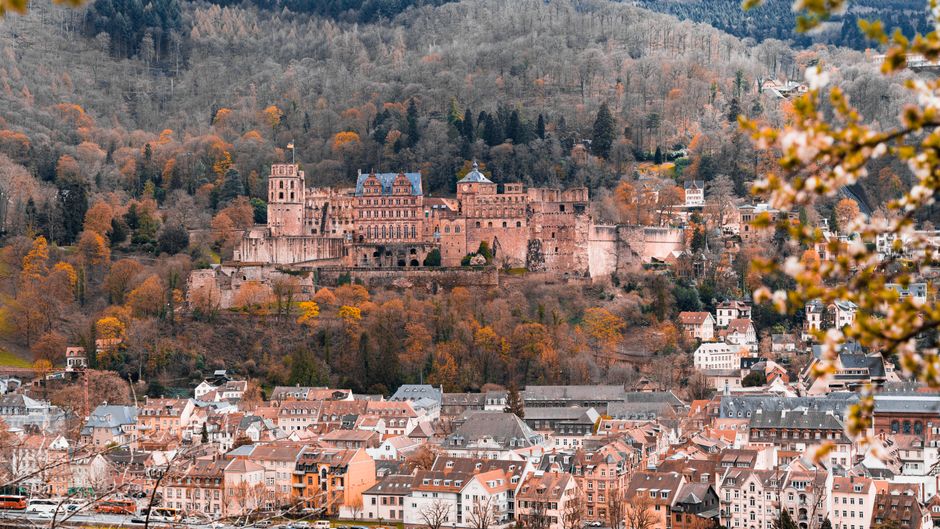 April Europe Spring City Loops: 4 Europe Spring City Loops for Better Blossom Timing