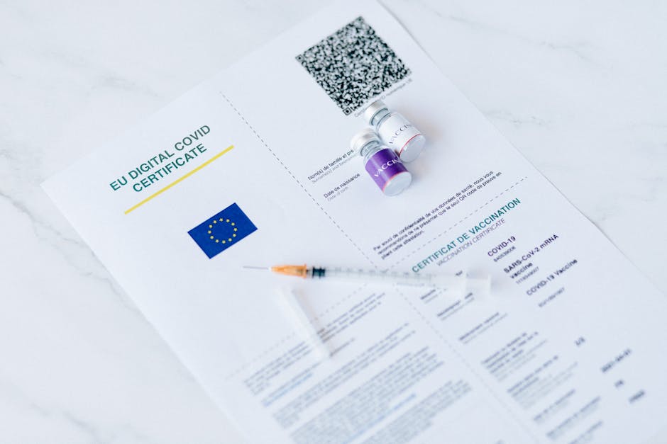 EU digital COVID certificate with vaccine vials and syringe on a white background.
